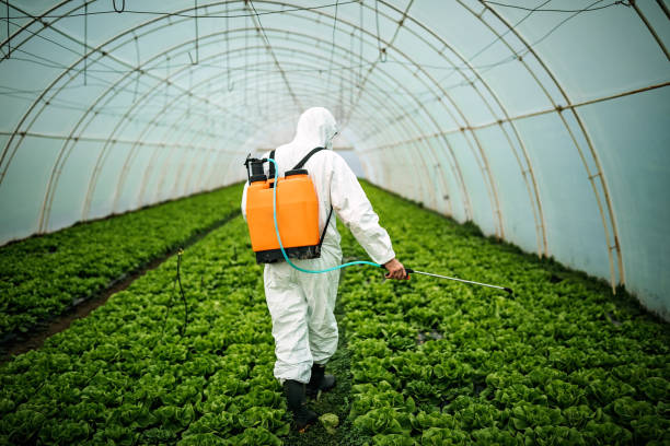 Best Pest Prevention Services  in Winterset, IA