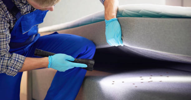 Best Pest Inspection Near Me  in Winterset, IA