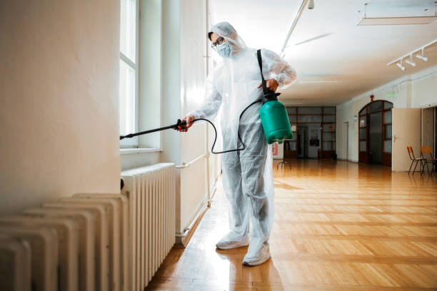 Best Local Pest Control Services  in Winterset, IA
