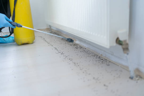 Best Termite Control Services  in Winterset, IA