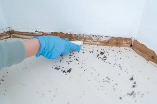 Best Exterminator Services  in Winterset, IA